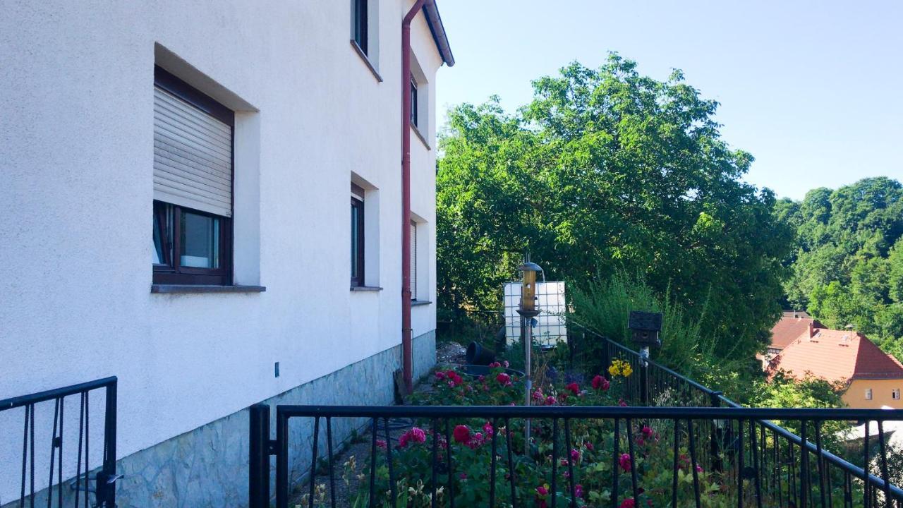 Schlossberg Apartments & Garten In Der Natur & Unweit Vom "Thueringer Meer" Unterwellenborn Eksteriør bilde